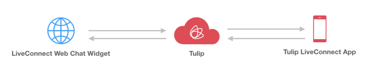 LiveConnect Web Chat Message Flow diagram